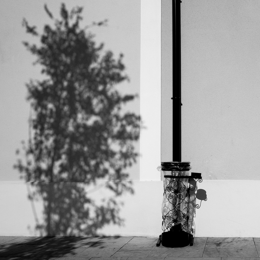 les receptions (15 sur 18)